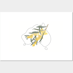 Flowers of Australia - Golden Wattle Posters and Art